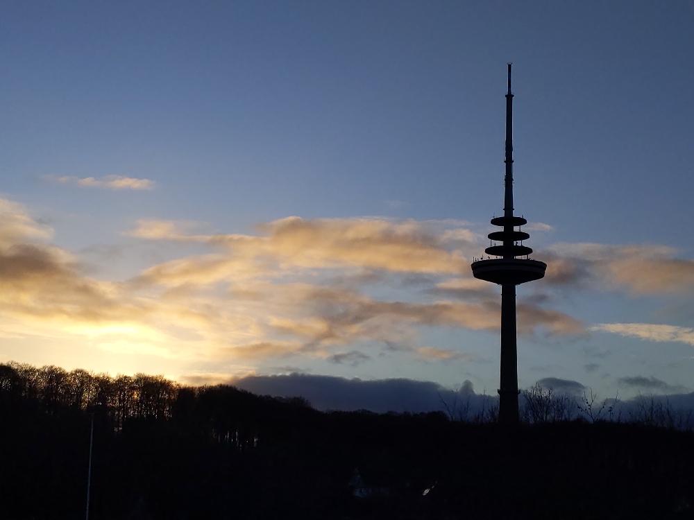 Bild "Hassee / Vieburg:VieburgerGehoelz.jpg"